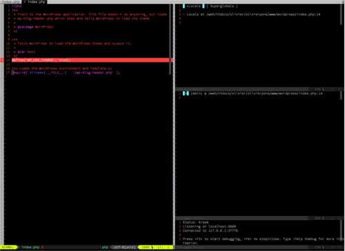 vim xdebug image